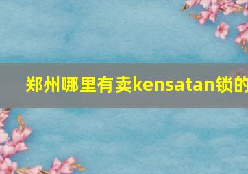 郑州哪里有卖kensatan锁的