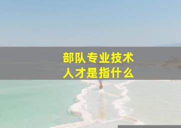 部队专业技术人才是指什么