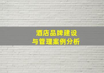 酒店品牌建设与管理案例分析