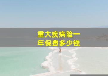 重大疾病险一年保费多少钱