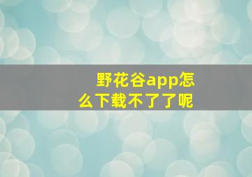 野花谷app怎么下载不了了呢