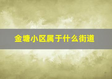 金塘小区属于什么街道