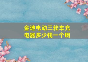 金迪电动三轮车充电器多少钱一个啊