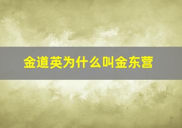 金道英为什么叫金东营