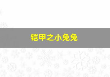 铠甲之小兔兔