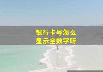 银行卡号怎么显示全数字呀