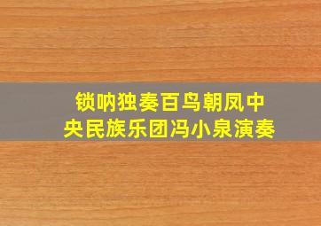 锁呐独奏百鸟朝凤中央民族乐团冯小泉演奏