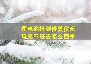 锂电池检测修复仪充电充不进去怎么回事