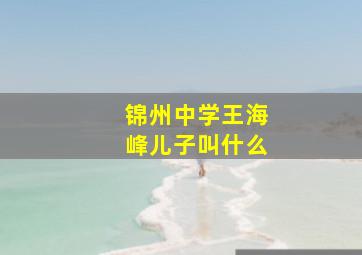 锦州中学王海峰儿子叫什么