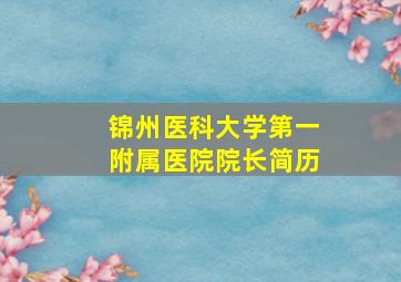 锦州医科大学第一附属医院院长简历