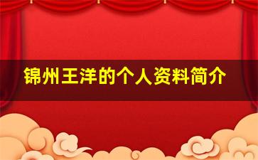 锦州王洋的个人资料简介