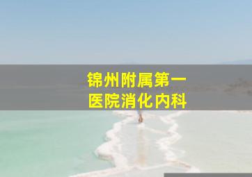 锦州附属第一医院消化内科