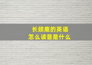 长颈鹿的英语怎么读音是什么