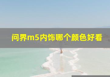 问界m5内饰哪个颜色好看