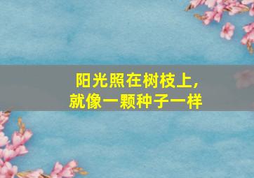 阳光照在树枝上,就像一颗种子一样