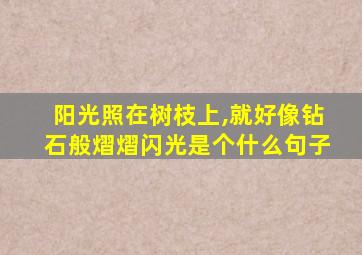 阳光照在树枝上,就好像钻石般熠熠闪光是个什么句子