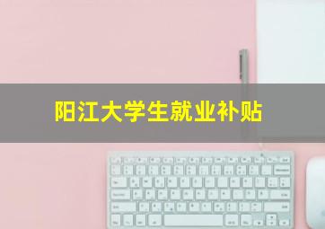 阳江大学生就业补贴