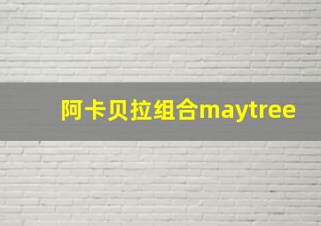 阿卡贝拉组合maytree