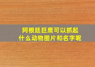 阿根廷巨鹰可以抓起什么动物图片和名字呢