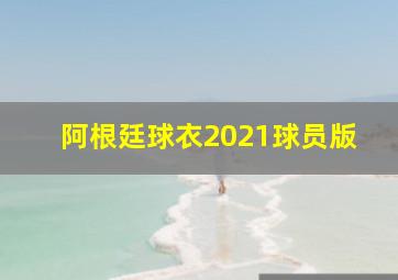 阿根廷球衣2021球员版