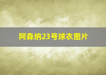 阿森纳23号球衣图片