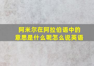 阿米尔在阿拉伯语中的意思是什么呢怎么说英语