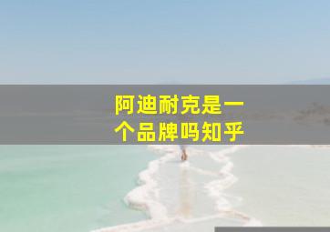 阿迪耐克是一个品牌吗知乎