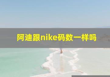 阿迪跟nike码数一样吗