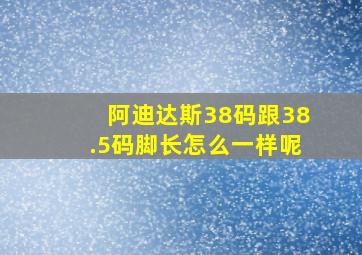 阿迪达斯38码跟38.5码脚长怎么一样呢