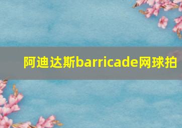 阿迪达斯barricade网球拍