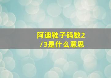 阿迪鞋子码数2/3是什么意思