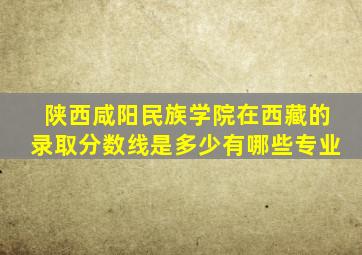 陕西咸阳民族学院在西藏的录取分数线是多少有哪些专业