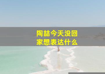 陶喆今天没回家想表达什么