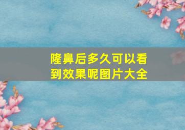 隆鼻后多久可以看到效果呢图片大全