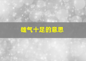 雄气十足的意思