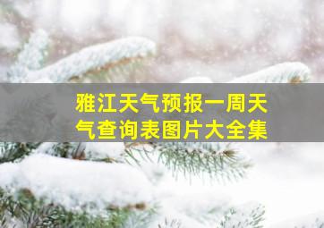 雅江天气预报一周天气查询表图片大全集