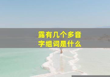 露有几个多音字组词是什么