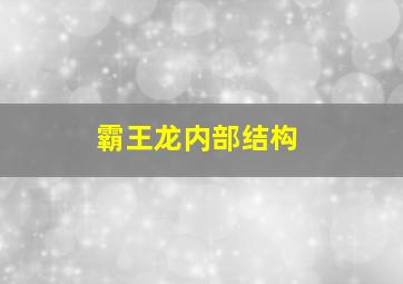 霸王龙内部结构