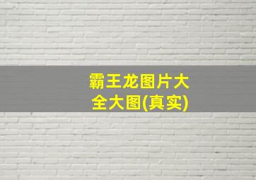 霸王龙图片大全大图(真实)