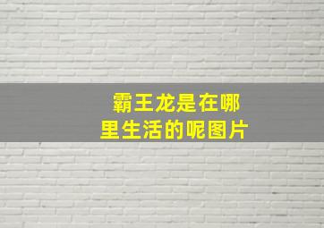 霸王龙是在哪里生活的呢图片