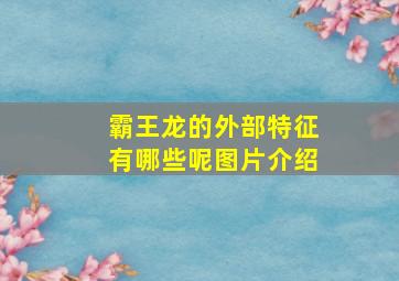 霸王龙的外部特征有哪些呢图片介绍