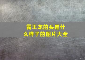 霸王龙的头是什么样子的图片大全