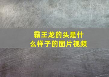 霸王龙的头是什么样子的图片视频