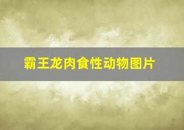 霸王龙肉食性动物图片