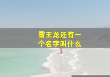 霸王龙还有一个名字叫什么