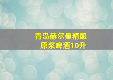 青岛赫尔曼精酿原浆啤酒10升