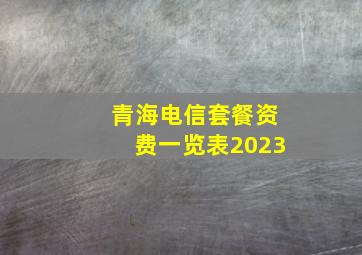 青海电信套餐资费一览表2023