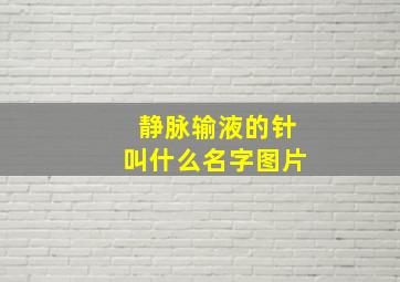 静脉输液的针叫什么名字图片