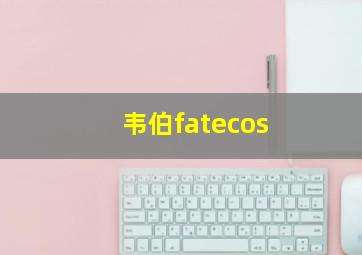 韦伯fatecos