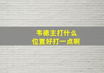 韦德主打什么位置好打一点啊